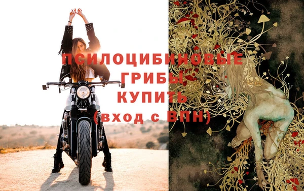 jwh Лиски