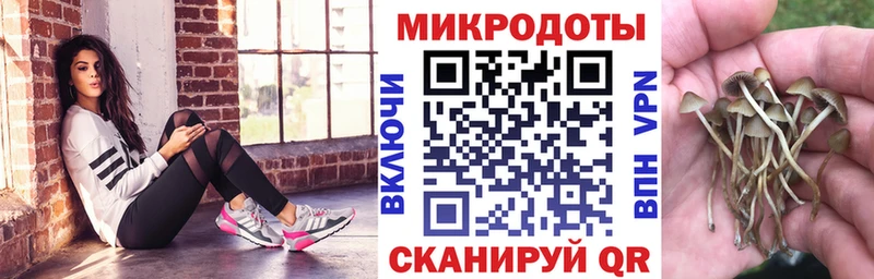 Псилоцибиновые грибы ЛСД  где купить наркоту  Каргат 
